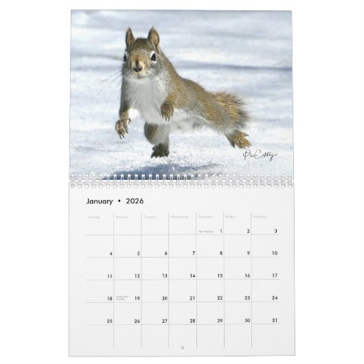 Calendrier Mr. Bickles The Squirrel - medium calendar two pag (Jan 2026)