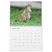 Calendrier Mr. Bickles The Squirrel - medium calendar two pag (Mar 2027)