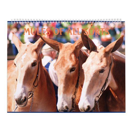 CALENDRIER MULES DE MULES DE MULES (Protection)