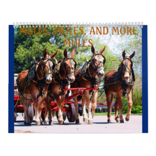 CALENDRIER MULES, MULES, MULES