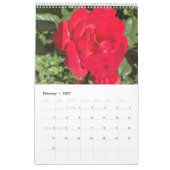 Calendrier multimédia mixte (Feb 2027)