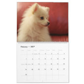 Calendrier Mur de chiens Pomeranians mignons (Feb 2027)