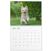 Calendrier Mur de chiens Pomeranians mignons (Mar 2027)