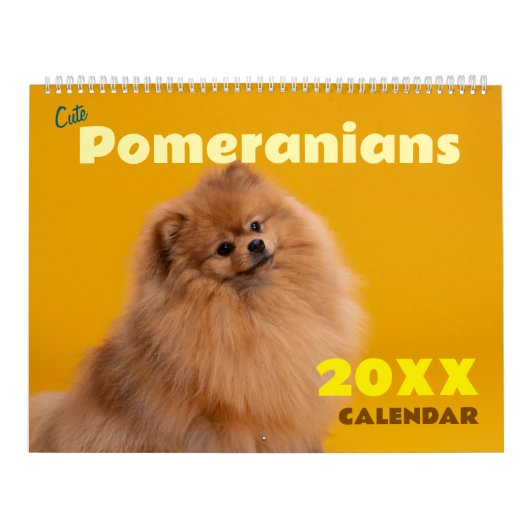 Calendrier Mur de chiens Pomeranians mignons (Protection)