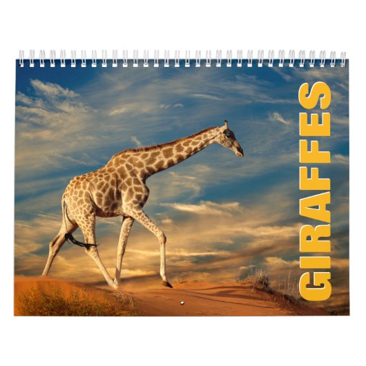 Calendrier mur Giraffes (Protection)