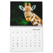 Calendrier mur Giraffes (Jan 2027)