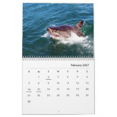 Calendrier mur requins (Feb 2027)