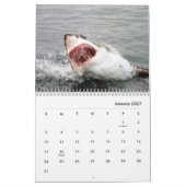 Calendrier mur requins (Jan 2027)