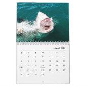 Calendrier mur requins (Mar 2027)