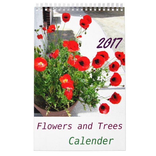 CALENDRIER MURAL 植物カレンダー2017 (Protection)