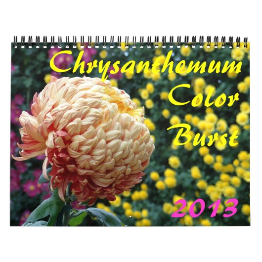 Calendrier Mural 0 2013 Chrysanthemum Color Burst (Protection)