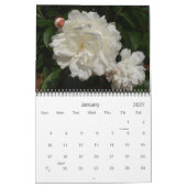 Calendrier Mural 0 2013 Jolies Peonies (Jan 2027)