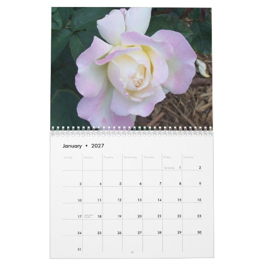 Calendrier Mural 100_1907, roses 2006 d'Overton (Jan 2027)