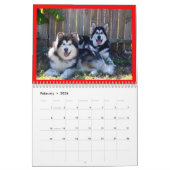 Calendrier Mural 100_2382, Malamutes du St Francis (Feb 2026)