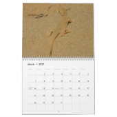 Calendrier Mural 12 mois d'animaux et de photographie de la faune (Mar 2027)