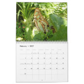 Calendrier Mural 12 mois d'animaux et de photographie de la faune (Feb 2027)
