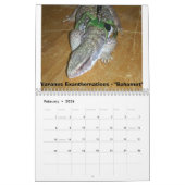 Calendrier Mural 12 mois de moniteurs (Feb 2026)