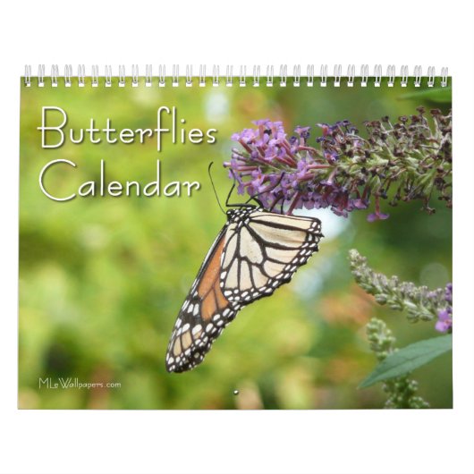 Calendrier Mural 12 Mois de Papillons Magnifiques (Protection)