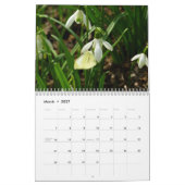 Calendrier Mural 12 Mois de Papillons Magnifiques (Mar 2027)