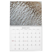 Calendrier Mural 12 mois de photographie Abstraite, 6e édition (Mar 2027)