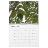 Calendrier Mural 12 Mois de Photos des Saisons, 10e édition (Feb 2026)