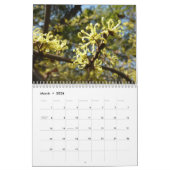 Calendrier Mural 12 mois de photos des saisons, 11e édition (Mar 2026)