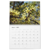 Calendrier Mural 12 mois de photos des saisons, 11e édition (Mar 2027)