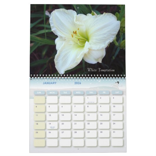 Calendrier Mural 14720033, Lumberton daylilies 048, Lumberton da... (Jan 2026)