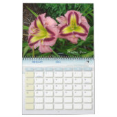 Calendrier Mural 14720033, Lumberton daylilies 048, Lumberton da... (Feb 2026)