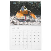 Calendrier Mural 2010 calendrier, oiseaux du Brésil (Mar 2027)