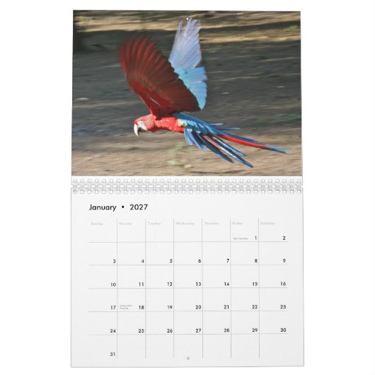 Calendrier Mural 2010 calendrier, oiseaux du Brésil (Jan 2027)