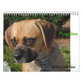 Calendrier Mural 2010 calendrier, Puggles (Protection)