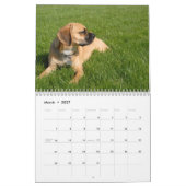 Calendrier Mural 2010 calendrier, Puggles (Mar 2027)
