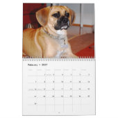 Calendrier Mural 2010 calendrier, Puggles (Feb 2027)
