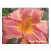 Calendrier Mural 2010 Daylilies (Protection)