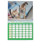 Calendrier Mural 2010 l'année du Shiba (Mar 2027)