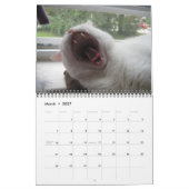 Calendrier Mural 2011-2012 de Jupiter et Kona Kitty Calender (Mar 2027)