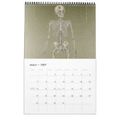 Calendrier Mural 2011 SKULL/SKELETON/ANATOMY - Tang13. (Mar 2027)
