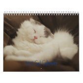 Calendrier Mural 2012 chats mignons (Protection)