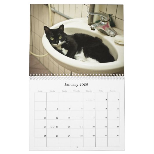 Calendrier Mural 2012 chats mignons (Jan 2026)