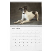 Calendrier Mural 2012 chiots de soie 2 de Windhounds (Mar 2027)