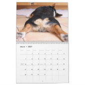 Calendrier mural 2012 Corgi Butts & Friends (Mar 2027)