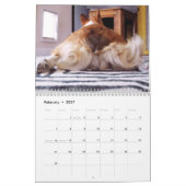 Calendrier mural 2012 Corgi Butts & Friends (Feb 2027)