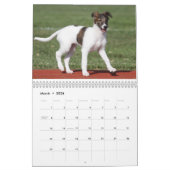 Calendrier Mural 2014 chiots de soie de Windhound 2-4 (Mar 2026)