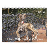 Calendrier Mural 2014 chiots de soie de Windhound 2-4 (Protection)
