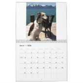 Calendrier Mural 2014 Windhounds de soie 2 ou 3 (Mar 2026)
