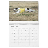 Calendrier Mural 2014 Windhounds de soie dans l'action 1-6 (Mar 2026)