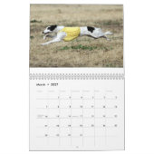 Calendrier Mural 2014 Windhounds de soie dans l'action 1-6 (Mar 2027)