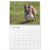 Calendrier Mural 2014 Windhounds de soie dans l'action 1-6 (Jan 2027)