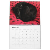 Calendrier Mural 2015 chiots de soie de Windhound (Mar 2027)